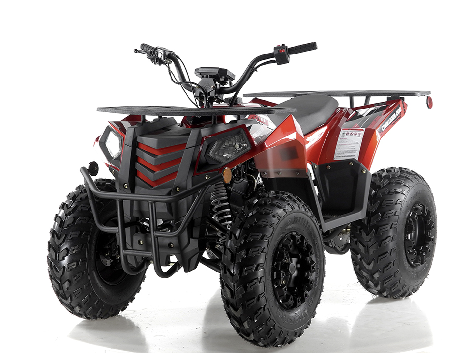 Apollo Commander 200,174cc Fully, Automatic with Reverse, Coil Over Shocks, Dual racks, CARB