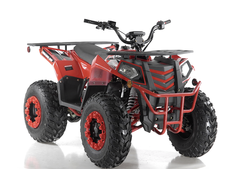 Apollo Commander 200,174cc Fully, Automatic with Reverse, Coil Over Shocks, Dual racks, CARB
