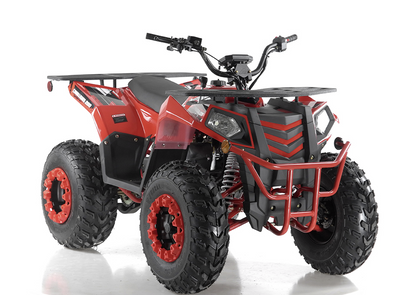 Apollo Commander 200,174cc Fully, Automatic with Reverse, Coil Over Shocks, Dual racks, CARB