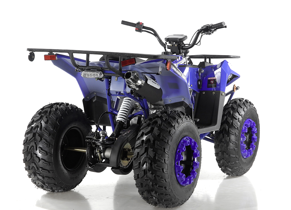 Apollo Commander 200,174cc Fully, Automatic with Reverse, Coil Over Shocks, Dual racks, CARB