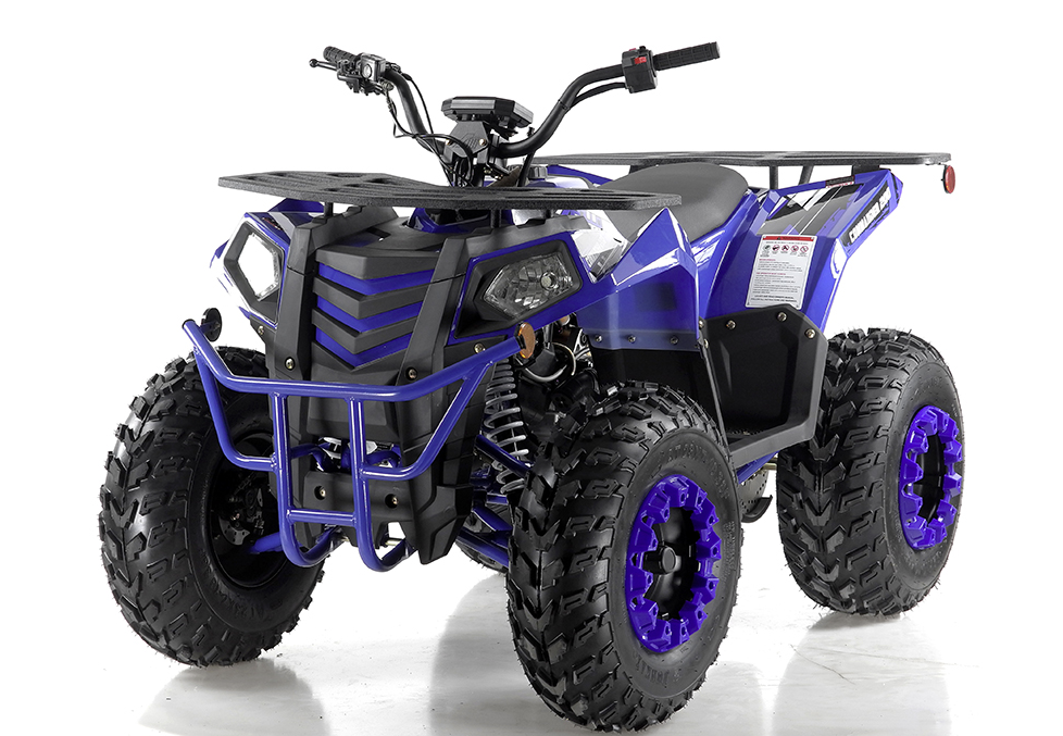 Apollo Commander 200,174cc Fully, Automatic with Reverse, Coil Over Shocks, Dual racks, CARB