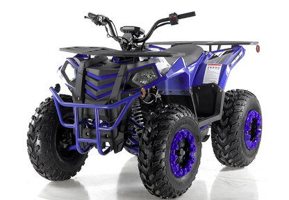 Apollo Commander 200,174cc Fully, Automatic with Reverse, Coil Over Shocks, Dual racks, CARB