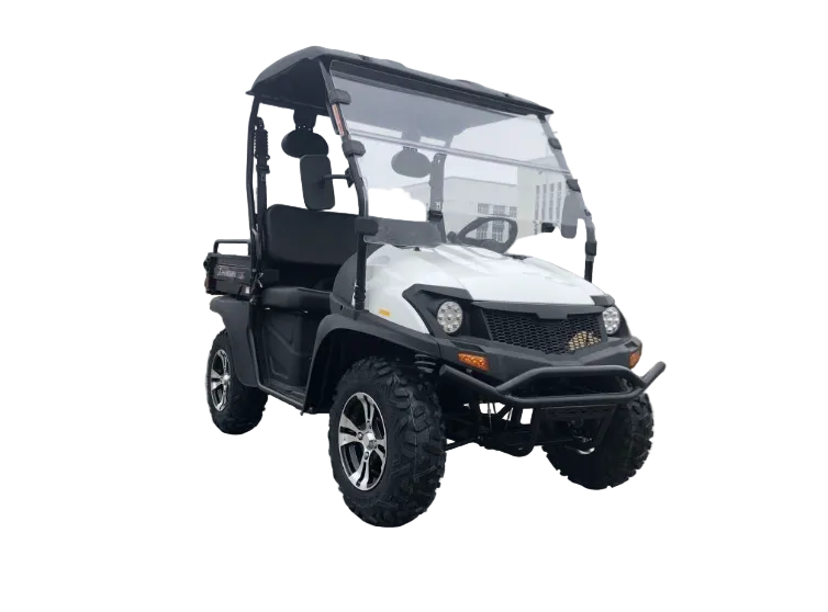TrailMaster Taurus 200U UTV / Golf Cart / side-by-side Utility Hybrid with High/Low Gear