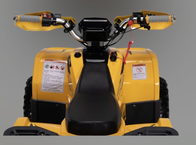 Electric ATV Cross E-200 For Kids & Youth Age 8-16