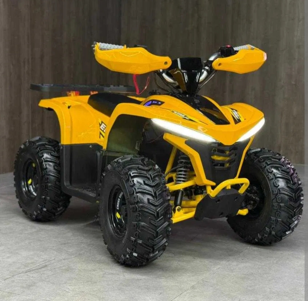 Electric ATV Cross E-200 For Kids & Youth Age 8-16