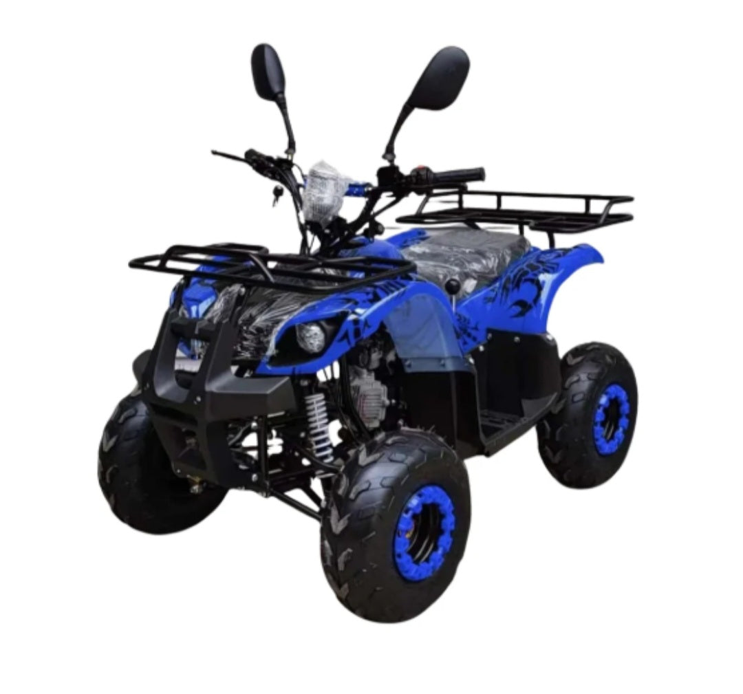 ATV Quad Off road 125CC Gas powered Automatic with Reverse Mode Warrior Bike - Age 8-14