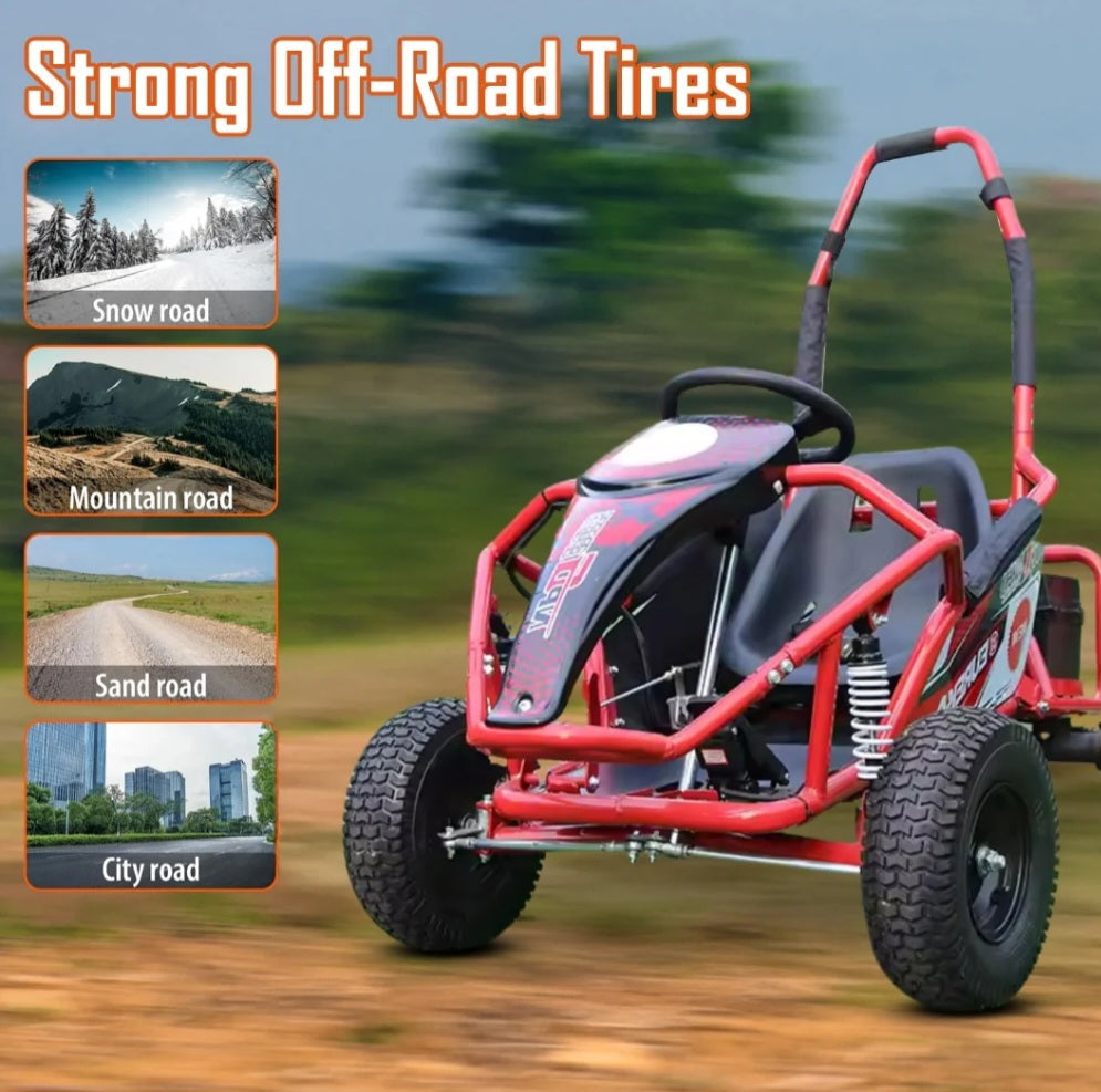 Electric Rideon Gokart Buggy Car Teen & Adults