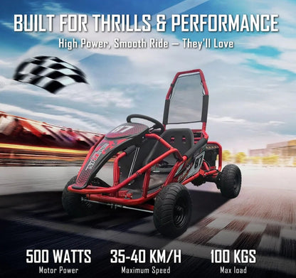 Electric Rideon Gokart Buggy Car Teen & Adults