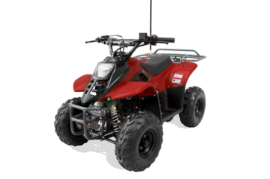 Trailmaster T110 Youth Sports ATV - 6" Wheels, Automatic Transmission, Electric Start, Throttle Limiter, LED Headlight