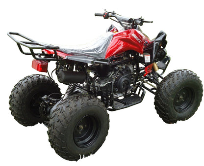 RPS Blizzard 200 Sport ATV - 200cc Full Size for Adults, Automatic with Reverse, 21-Inch Front Tires, with Free Battery Charge, up to $49 value