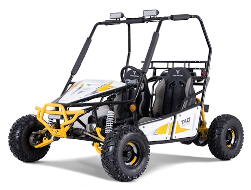 125cc Triton Mid-Size Go Kart Fully Automatic With Reverse - Triton 125
