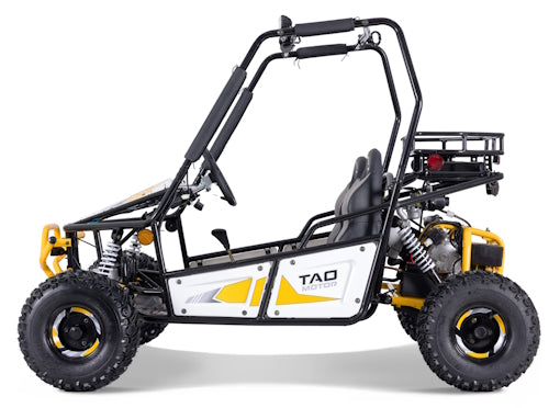 125cc Triton Mid-Size Go Kart Fully Automatic With Reverse - Triton 125