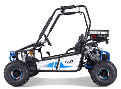 125cc Triton Mid-Size Go Kart Fully Automatic With Reverse - Triton 125