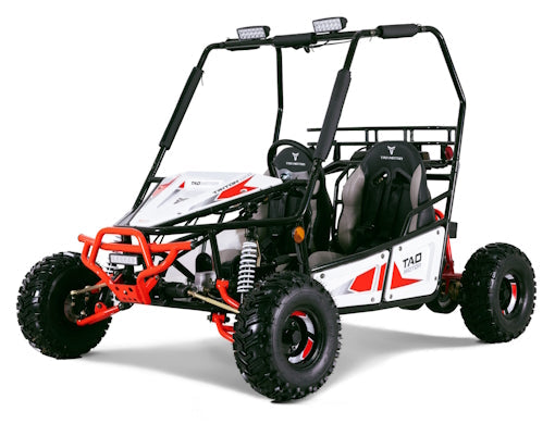 125cc Triton Mid-Size Go Kart Fully Automatic With Reverse - Triton 125