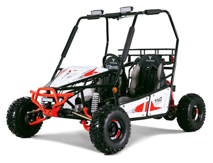 125cc Triton Mid-Size Go Kart Fully Automatic With Reverse - Triton 125
