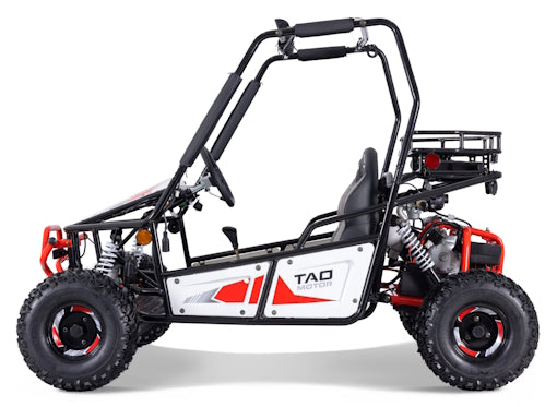125cc Triton Mid-Size Go Kart Fully Automatic With Reverse - Triton 125