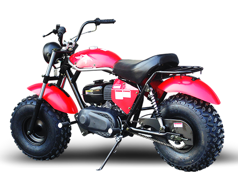 Trailmaster Mini Bike 200cc MB200 Storm Cloud Mini Bike
