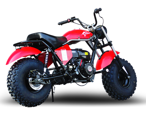 Trailmaster Mini Bike 200cc MB200 Storm Cloud Mini Bike