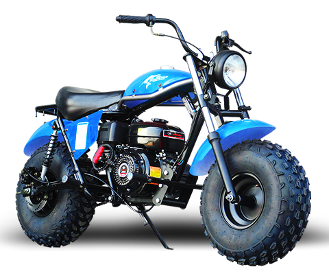 Trailmaster Mini Bike 200cc MB200 Storm Cloud Mini Bike