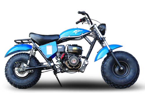 Trailmaster Mini Bike 200cc MB200 Storm Cloud Mini Bike