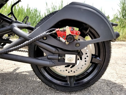 GSI - 200cc Tryker Trike Scooter Gas Moped Fully Automatic with Reverse - JassCol 200 Trike