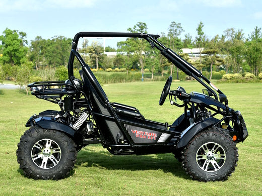 GSI - 200cc Go Kart Fuel Injected Fully Automatic w/Reverse - Venture 200 EFI