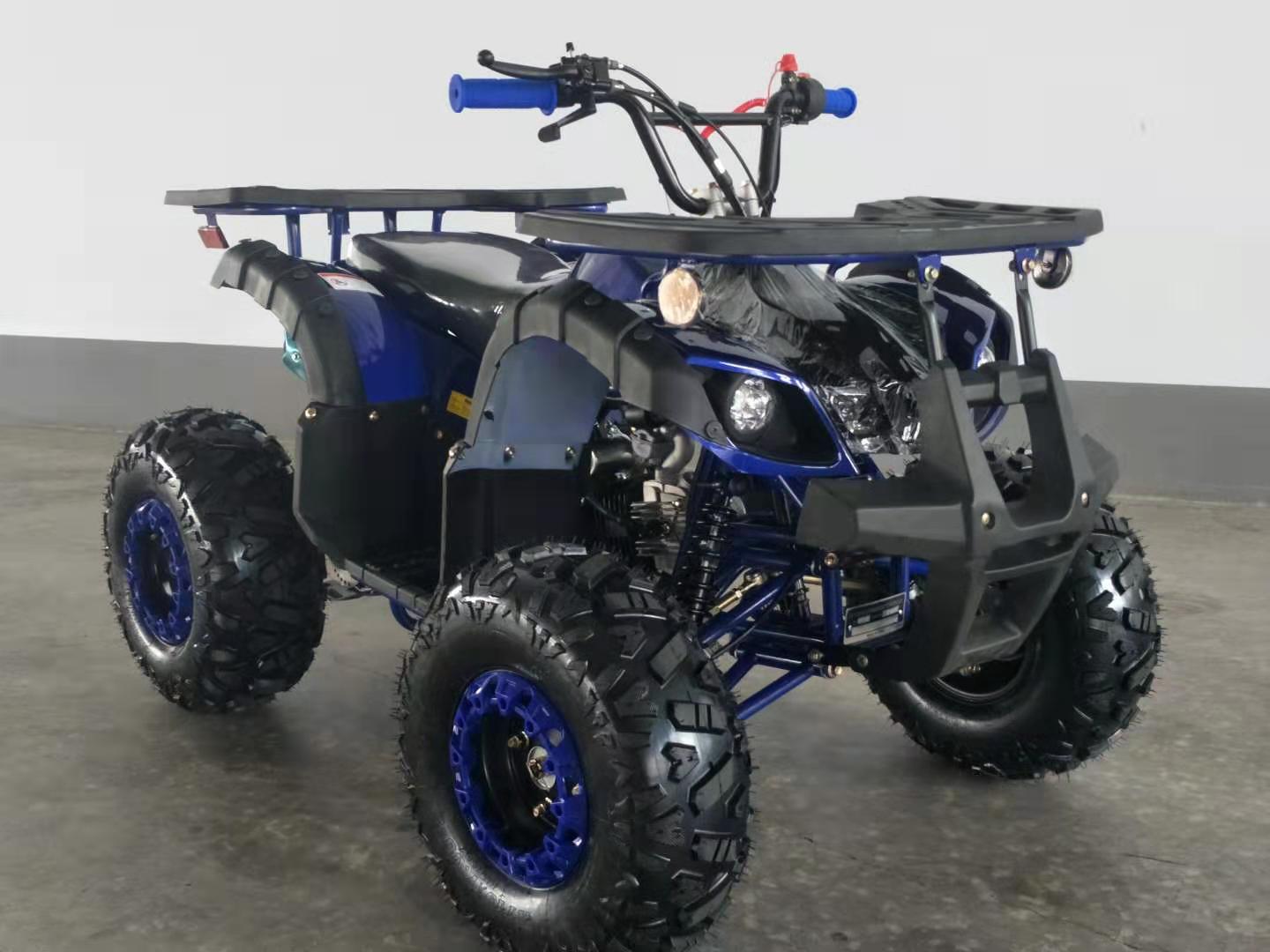 RPS Mini Desert 125CRT Mid-Size Youth ATV - 125cc, Bead Lock Style Rims, Front & Rear Racks, Automatic with Reverse with Free Battery Charge, up to $49 value
