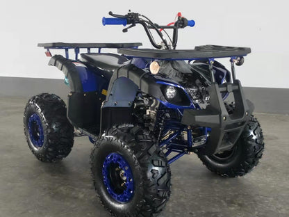 RPS Mini Desert 125CRT Mid-Size Youth ATV - 125cc, Bead Lock Style Rims, Front & Rear Racks, Automatic with Reverse with Free Battery Charge, up to $49 value