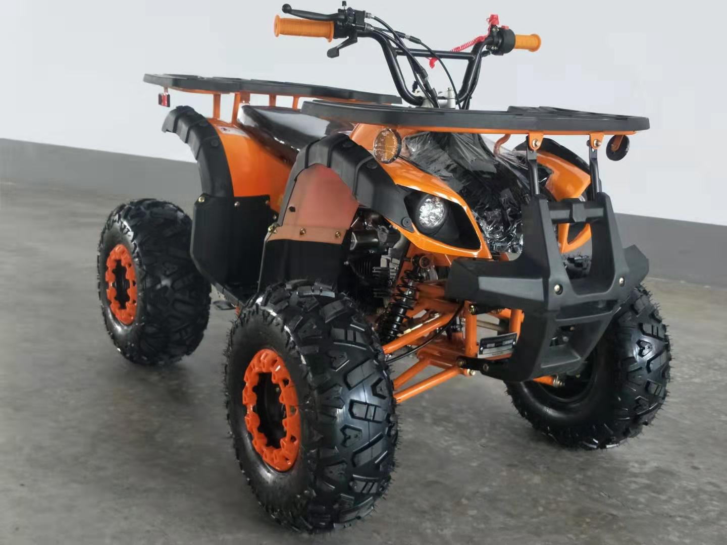 RPS Mini Desert 125CRT Mid-Size Youth ATV - 125cc, Bead Lock Style Rims, Front & Rear Racks, Automatic with Reverse with Free Battery Charge, up to $49 value