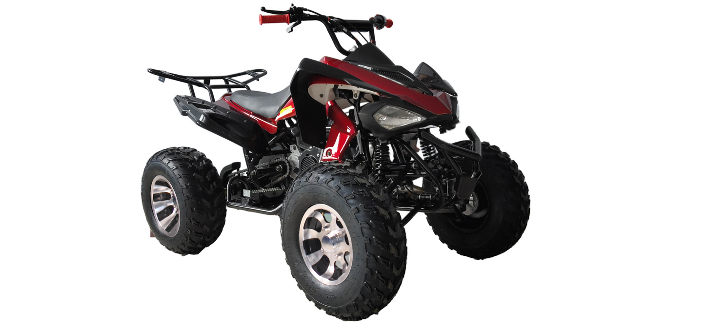 RPS Blizzard 200 Sport ATV - Adult Full Size, 169cc, Automatic with Reverse, 21-Inch Front Tires, Alloy Rims, with Free Battery Charge, up to $49 value