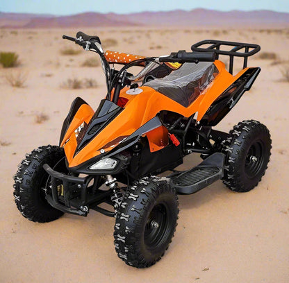 Atv Mini quad Kids Electric Ride on 36V 500W Age 8-14years