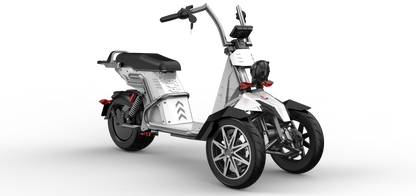 SoverSky T100 Electric Three-Wheel Trike 4000W 60V 50Ah - Private Property Use Only