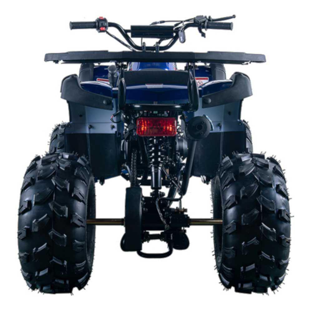 Vitacci Rider 10 Utility ATV - 125cc, Mid-Size for Youth, Suitable for Kids 12 Years and Up