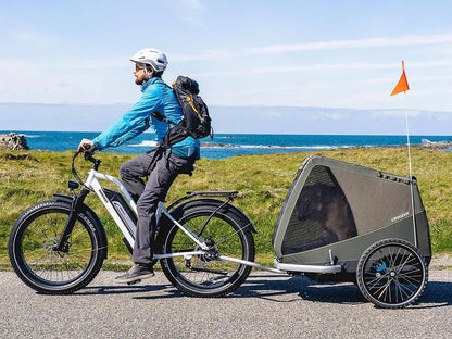 Himiway | All-Terrain Step-Through Fat Tire Electric Bike - Without Rear Rack
