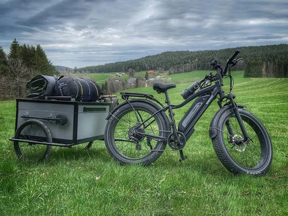 Himiway | Fat Tire Electric Bike - With Rear Rack / Ship separately