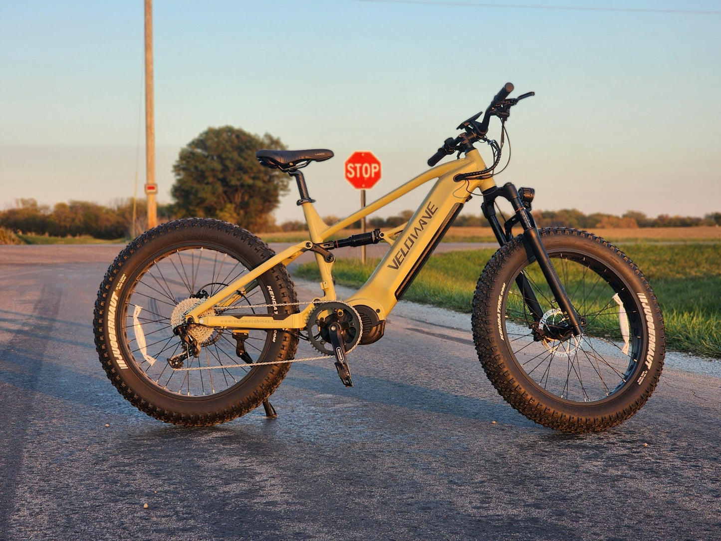 Velowave Brawny XM MTB Fat Tire Electric Mountain Bike - 48V 20Ah 1000W, 37MPH, Range 75 miles, hydraulic brakes - 100% Financing Available!