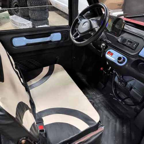 LE Coco Coupe Electric Crazy Green Mini Car 60v 4 Seater Golf Cart LSV Car