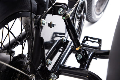 SoverSky | | E-Bike Sidecar Attachment | 750W Compatible
