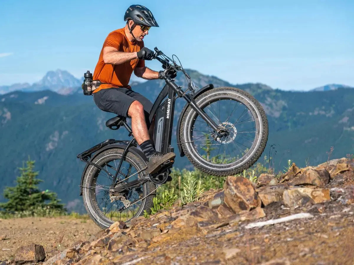 Himiway | Fat Tire Electric Bike - Without Rear Rack
