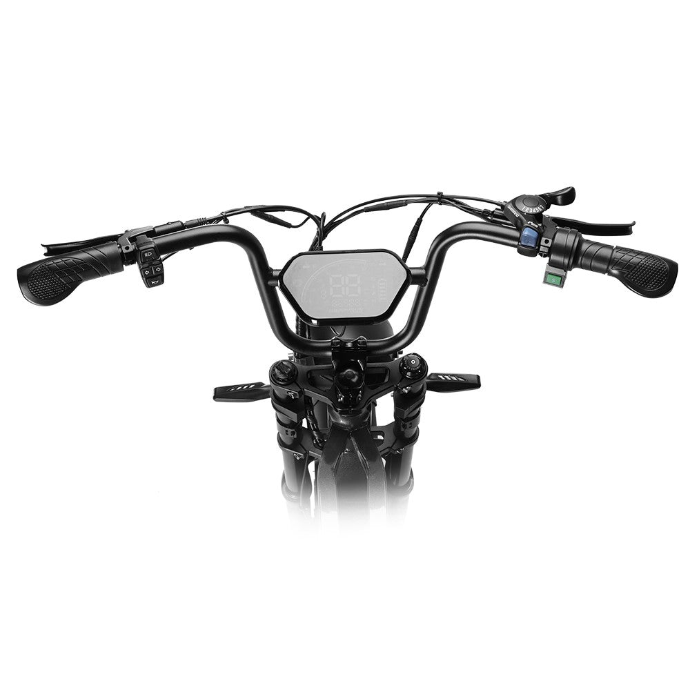 HappyRun | G60 Pro Moped-Style Electric Bike 1000W Fat Tire Off-Road