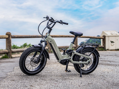 Himiway | D5 2.0 Fat Tire Electric Bike - Sage 15Ah+20Ah