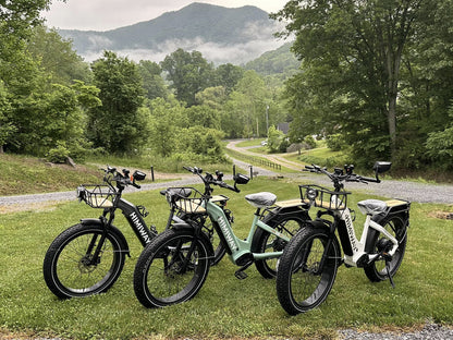 Himiway | D7 Step-Through All-Terrain Fat Tire Mountain Bike