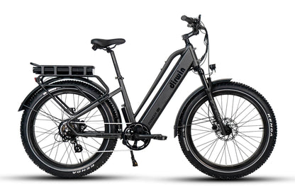 Dirwin Bike Off-Road Pioneer Plus Step Through Electric Bike 1000W 48V 23.4Ah Dual Batteries - 100% Financing Available!