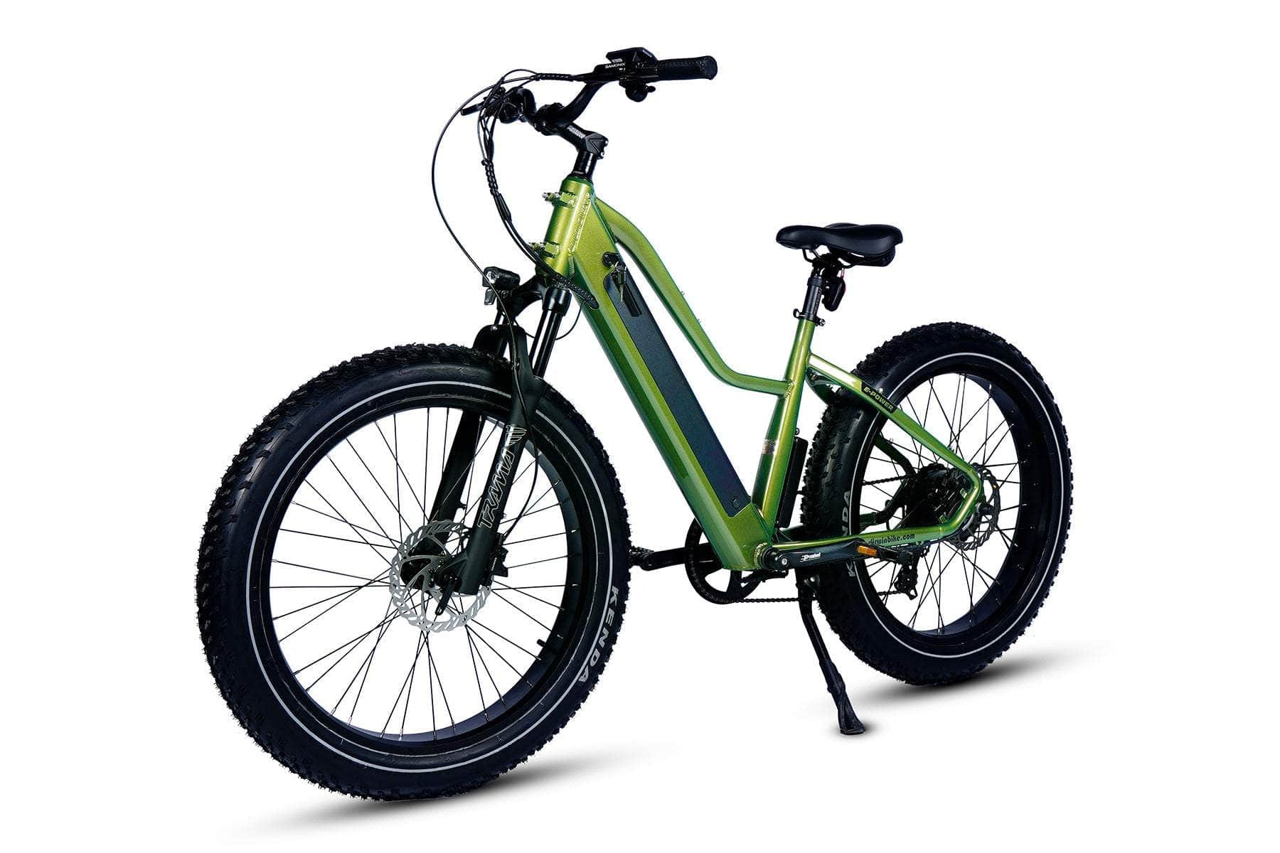 Dirwin Bike Pioneer Lite Fat Tire Electric Bike 750W 80Nm 26MPH MAX - 100% Financing Available!