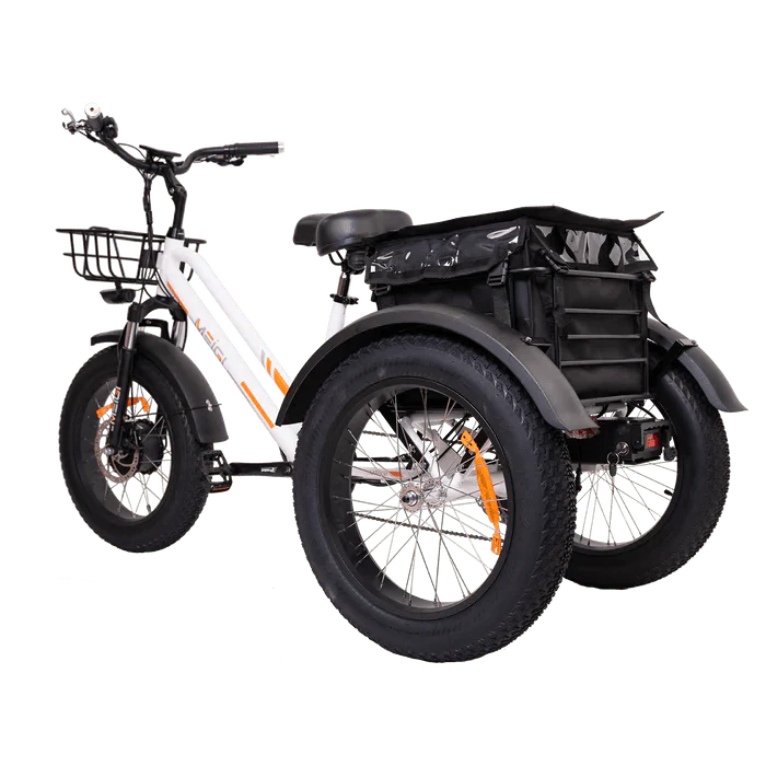 DWMEIGI MG1703-ZEUS Fat Tire Electric Trike 48V 750W 18.2Ah, 45 Mile Range - 100% Financing Available!