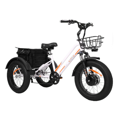 DWMEIGI MG1703-ZEUS Fat Tire Electric Trike 48V 750W 18.2Ah, 45 Mile Range - 100% Financing Available!