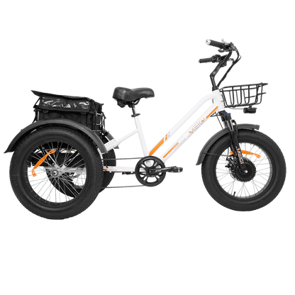 DWMEIGI MG1703-ZEUS Fat Tire Electric Trike 48V 750W 18.2Ah, 45 Mile Range - 100% Financing Available!