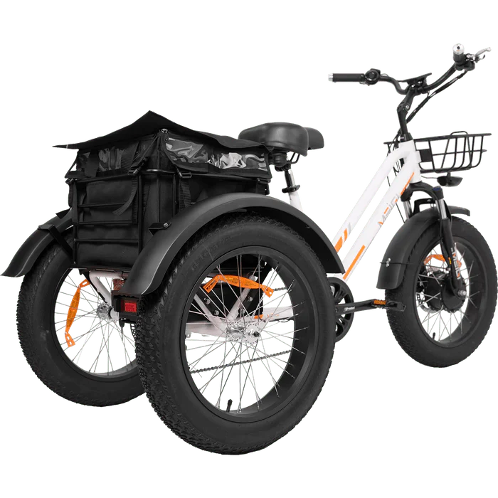 DWMEIGI MG1703-ZEUS Fat Tire Electric Trike 48V 750W 18.2Ah, 45 Mile Range - 100% Financing Available!