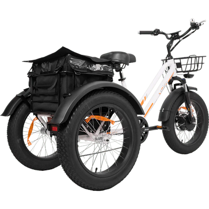 DWMEIGI MG1703-ZEUS Fat Tire Electric Trike 48V 750W 18.2Ah, 45 Mile Range - 100% Financing Available!