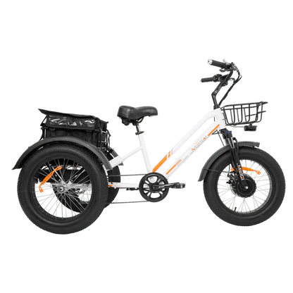 DWMEIGI MG1703-ZEUS Fat Tire Electric Trike 48V 750W 18.2Ah, 45 Mile Range - 100% Financing Available!